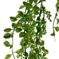 Floristik24 Cintres à feuilles avec baies 115cm vert