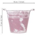 Seau en fer-blanc, délavé violet et blanc, Ø19cm H17cm, 1 pc. | Floristik24.be