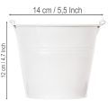 Seaux en fer blanc Ø14cm H12cm, lot de 6 | Floristik24.be