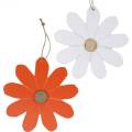 Floristik24 Pendentif fleur, fleurs décoratives orange et blanc, décoration en bois, été, fleurs décoratives 8 pièces