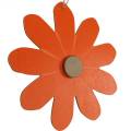 Floristik24 Pendentif fleur, fleurs décoratives orange et blanc, décoration en bois, été, fleurs décoratives 8 pièces