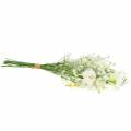 Floristik24 Bouquet d&#39;asters blanc 47cm