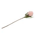 Floristik24 Branche fleurie Mousse Rose/Vert 65cm