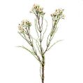 Floristik24 Branche fleurie 80 cm blanc-vert 3 p.