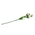 Floristik24 Branche fleurie blanche L70cm
