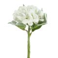 Floristik24 Hortensia blanc neigé 33cm 4pcs