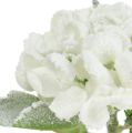 Floristik24 Hortensia blanc neigé 33cm 4pcs