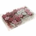Floristik24 Décoration à parsemer fleurs de cerisier, fleurs printanières, décoration de table, fleurs en bois à parsemer 144pcs