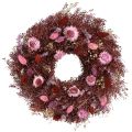 Floristik24 Couronne de fleurs séchées, rouge bordeaux, rose, Ø25cm