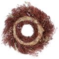 Couronne de fleurs séchées, rouge bordeaux, rose, Ø25cm | Floristik24.be