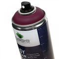 Floristik24 OASIS® Easy Color Spray, peinture en aérosol Erika 400ml
