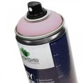 Floristik24 OASIS® Easy Color Spray, peinture en aérosol rose tendre 400ml