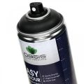 Floristik24 OASIS® Easy Color Spray, peinture en aérosol noir 400ml