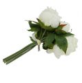 Floristik24 Bouquet de roses de Pentecôte blanc L 30 cm