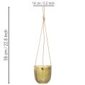 Pot de fleurs/lanterne suspendue en verre, violet/vert, 14 cm, lot de 2 | Floristik24.be