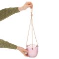 Pot de fleurs/lanterne suspendue en verre, violet/vert, 14 cm, lot de 2 | Floristik24.be