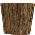 Floristik24 Grand cache-pot, cache-pot, décoration écorce d&#39;arbre Ø22,5cm H20cm