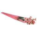 Floristik24 Sac à fleurs avec coeurs rose Pour une rose 50cm 50pcs
