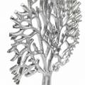Floristik24 Arbre décoratif en hêtre argenté, silhouette d&#39;arbre en métal, arbre décoratif sur bois de manguier