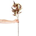 Coléus artificiel à feuilles rouges, plante artificielle, 20 cm | Floristik24.be