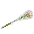 Calla fleur décorative rose 57cm 12pcs | Floristik24.be