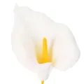 Lys calla artificiel à étamines jaunes, fleurs décoratives, 35 cm, lot de 10 | Floristik24.be