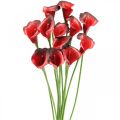 Floristik24 Calla rouge bordeaux fleurs artificielles en bouquet 57cm 12pcs
