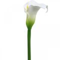 Floristik24 Artificielle Calla Blanc Décor De Mariage Fleur De Soie Anniversaire L72cm