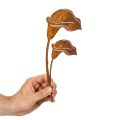 Tuteur de jardin pour fleurs de calla rouille, pour tombes et art floral, 25 cm, lot de 6 | Floristik24.be