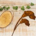 Tuteur de jardin pour fleurs de calla rouille, pour tombes et art floral, 25 cm, lot de 6 | Floristik24.be