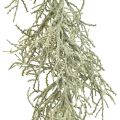 Floristik24 Calocephalus Guirlande Plantes Artificielles Gris Argenté 122cm