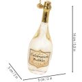 Ensemble pendentif bouteille et verre à champagne, décoration de sapin de Noël, 14 cm, 2 pièces | Floristik24.be