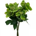 Floristik24 Rose de Noël Rose de Carême Hellébore fleurs artificielles vert L34cm 4pcs