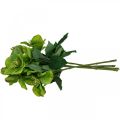 Floristik24 Rose de Noël Rose de Carême Hellébore fleurs artificielles vert L34cm 4pcs