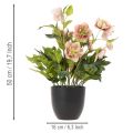 Hellébore artificielle en pot, rose de Noël, pour la décoration intérieure, 50 cm | Floristik24.be