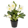 Floristik24 Rose de Noël artificielle, plante en pot, décoration de table, 34 cm
