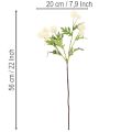Chrysanthèmes artificiels, bouquet blanc crème, branche décorative, grande taille 56 cm, lot de 4 | Floristik24.be