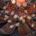 Coquilles de noix de coco