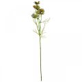 Floristik24 Cosmea panier à bijoux vert fleurs d&#39;été artificielles 61cm