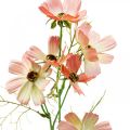 Floristik24 Cosmea panier à bijoux pêche fleurs artificielles fleurs d&#39;été 61cm