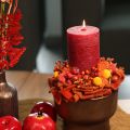 Bouquet de craspedias séchées, 55 cm, 20 pièces | Floristik24.be