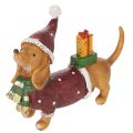 Floristik24 Figurine décorative de teckel avec emballage cadeau et chapeau, 18 cm