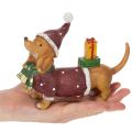 Figurine décorative de teckel avec emballage cadeau et chapeau, 18 cm | Floristik24.be