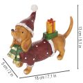 Figurine décorative de teckel avec emballage cadeau et chapeau, 18 cm | Floristik24.be
