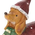 Figurine décorative de teckel avec emballage cadeau et chapeau, 18 cm | Floristik24.be