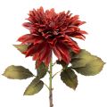 Floristik24 Fleur de dahlia artificielle à longue tige, 68 cm