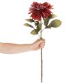 Fleur de dahlia artificielle à longue tige, 68 cm | Floristik24.be