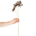 Fleur de dahlia artificielle, à longue tige et à deux fleurs, 75 cm | Floristik24.be
