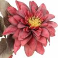 Floristik24 Fleur artificielle dahlia rouge, fleur en soie automne 72cm Ø9/11cm