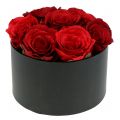Floristik24 Boîte à fleurs rose box noire ronde Ø18cm - Ø20cm 2pcs